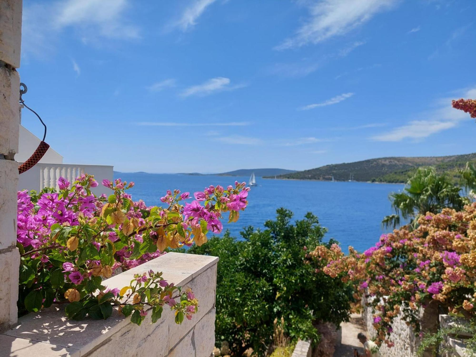 Villa Apartments Oliva Seget Vranjica Zewnętrze zdjęcie